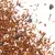 Чай Ройбуш Баунти в чайном магазине BestTea, фото , изображение 7