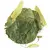Листья и цветы липы в чайном магазине BestTea, фото , изображение 2
