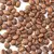 Кофе Бразилия Сантос, Фасовка: 250 оптом в BestTea, фото , изображение 3