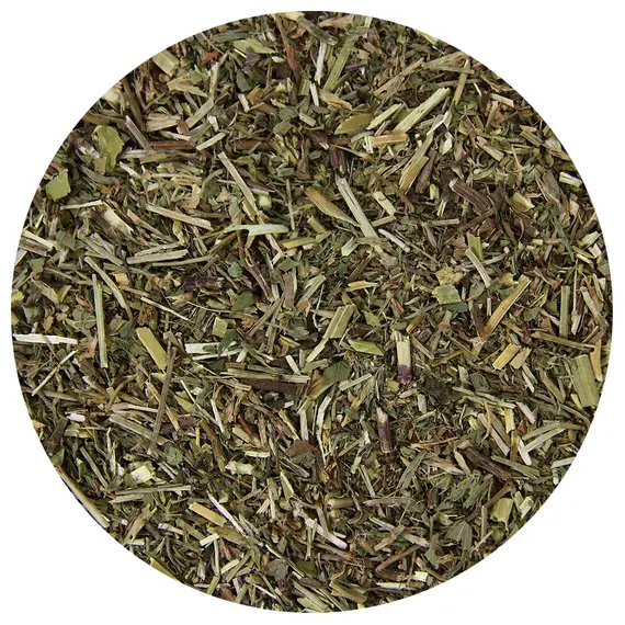 Мелисса в чайном магазине BestTea, фото 