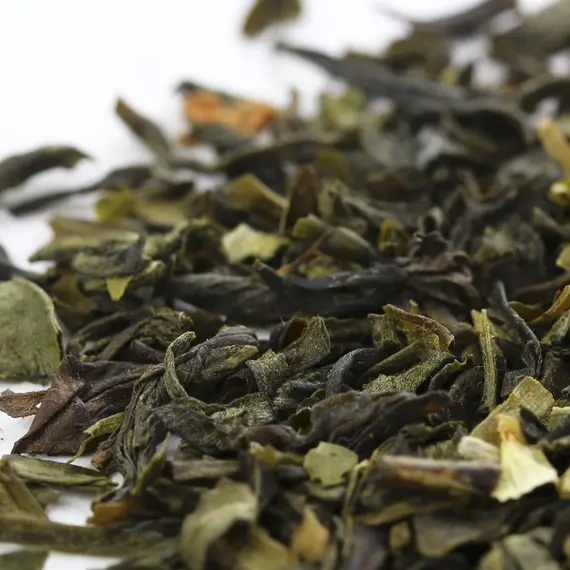 Чай жасминовый Моли Хуа Ча в чайном магазине BestTea, фото , изображение 4