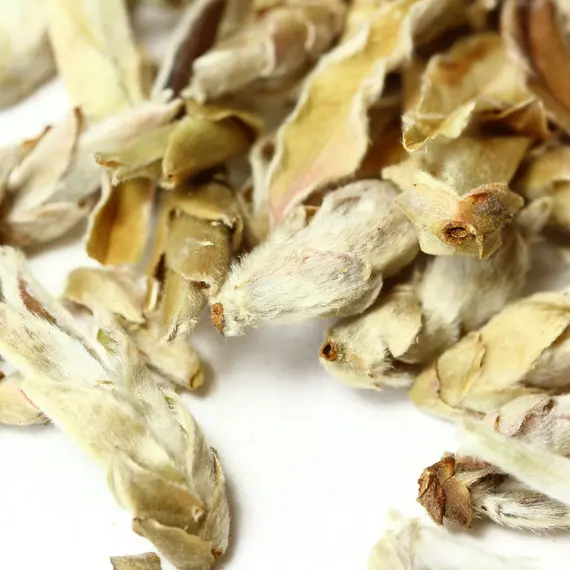 Чай белый Гу Шу Бай Я (Весенние почки Юннаня) в чайном магазине BestTea, фото , изображение 3