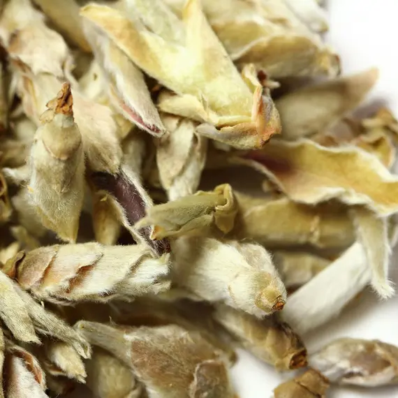 Чай белый Гу Шу Бай Я (Весенние почки Юннаня) в чайном магазине BestTea, фото , изображение 4
