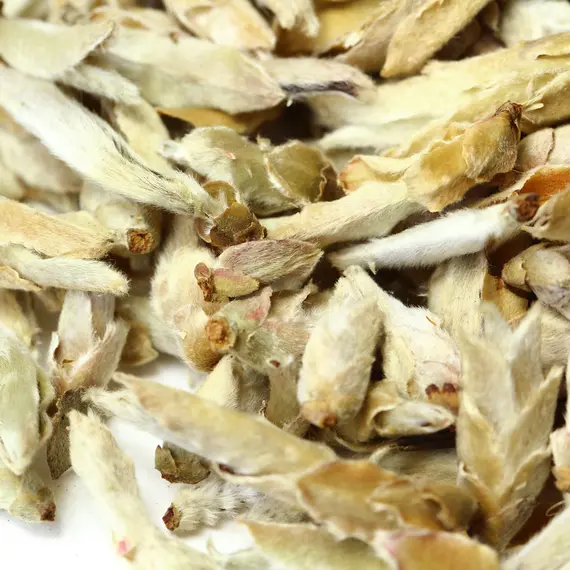 Чай белый Гу Шу Бай Я (Весенние почки Юннаня) в чайном магазине BestTea, фото , изображение 5