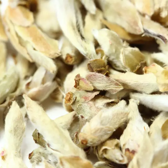 Чай белый Гу Шу Бай Я (Весенние почки Юннаня) в чайном магазине BestTea, фото , изображение 7