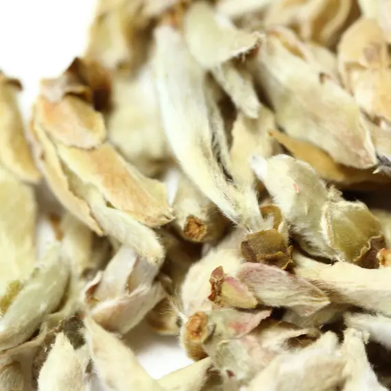 Чай белый Гу Шу Бай Я (Весенние почки Юннаня) в чайном магазине BestTea, фото , изображение 8
