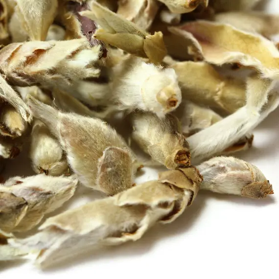 Чай белый Гу Шу Бай Я (Весенние почки Юннаня) в чайном магазине BestTea, фото , изображение 9