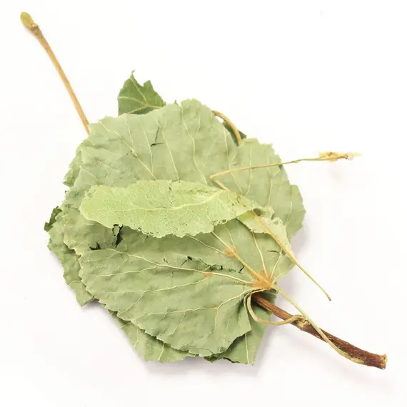 Липа цвет крупный лист оптом в BestTea, фото , изображение 4