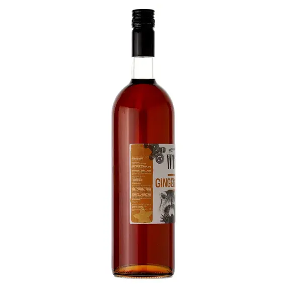 Сироп Имбирный пряник 1 л, WTS!?, Объем мл: 1000 оптом в BestTea, фото , изображение 3