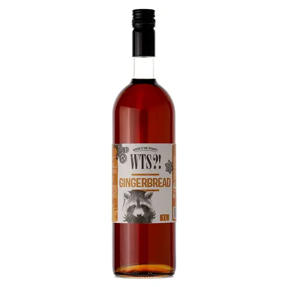 Сироп Имбирный пряник 1 л, WTS!?, Объем мл: 1000 оптом в BestTea, фото 