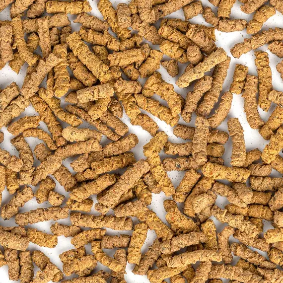 Чай Гречишный Ку Цяо (гранулированный) светлый оптом в BestTea, фото , изображение 3