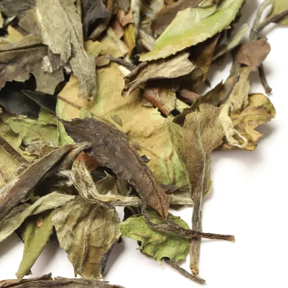 Чай белый Бай Му Дань (Белый пион), 200 г оптом в BestTea, фото , изображение 8