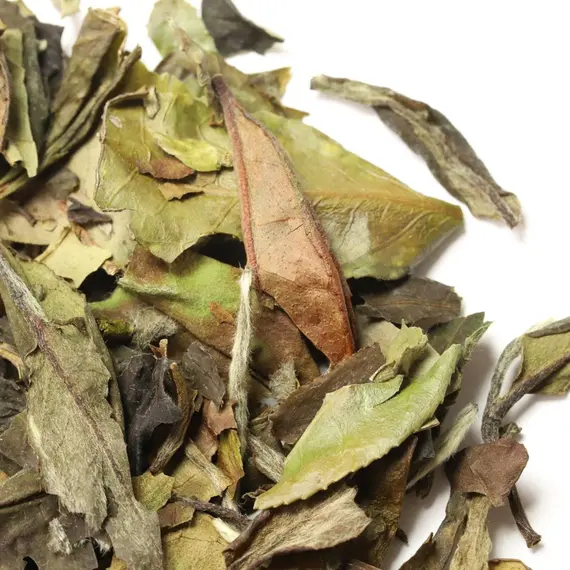 Чай белый Бай Му Дань (Белый пион), 200 г оптом в BestTea, фото , изображение 9