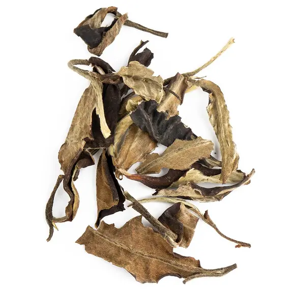 Чай пуэр Юэ Гуан Бай, Шен в чайном магазине BestTea, фото , изображение 5