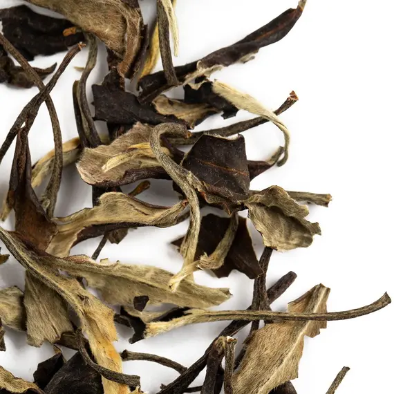 Чай пуэр Юэ Гуан Бай, Шен в чайном магазине BestTea, фото , изображение 3