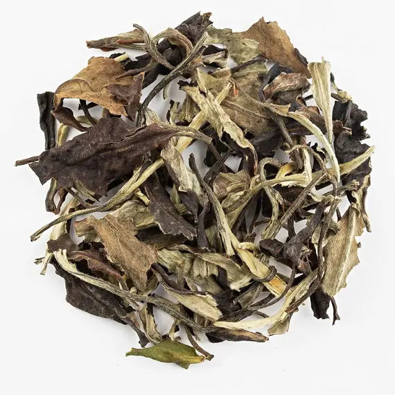 Чай пуэр Юэ Гуан Бай, Шен в чайном магазине BestTea, фото , изображение 2