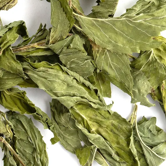 Мята крупная, целый лист оптом в BestTea, фото , изображение 2