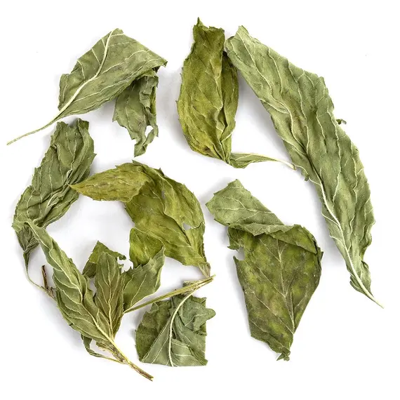 Мята крупная, целый лист оптом в BestTea, фото , изображение 3