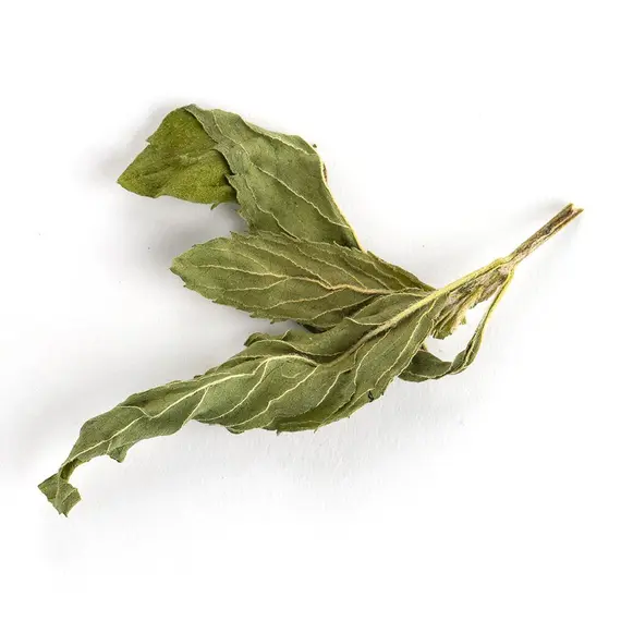 Мята крупная, целый лист оптом в BestTea, фото , изображение 5