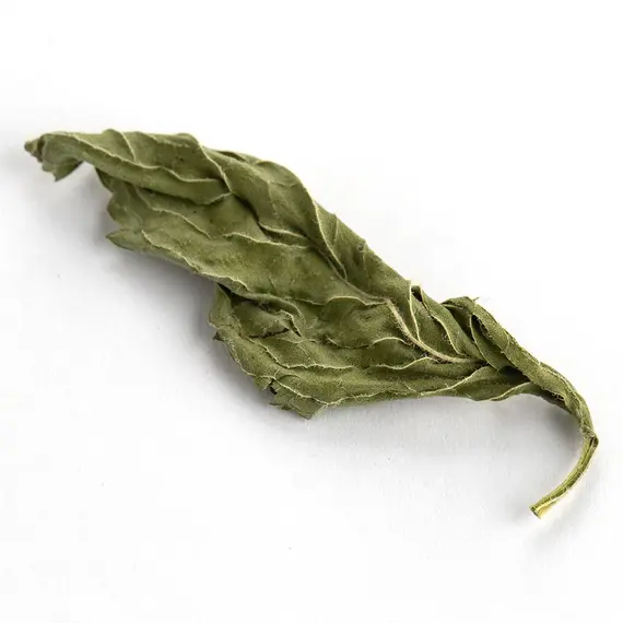 Мята крупная, целый лист оптом в BestTea, фото , изображение 7