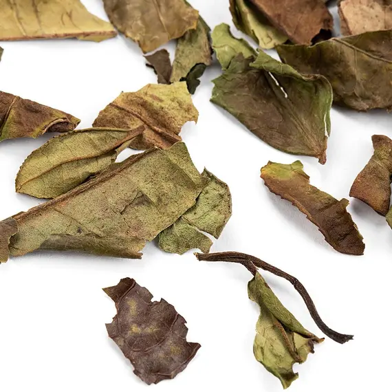 Чай белый Бай Му Дань (Белый пион) в чайном магазине BestTea, фото , изображение 3