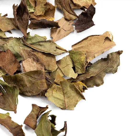 Чай белый Бай Му Дань (Белый пион) в чайном магазине BestTea, фото , изображение 4