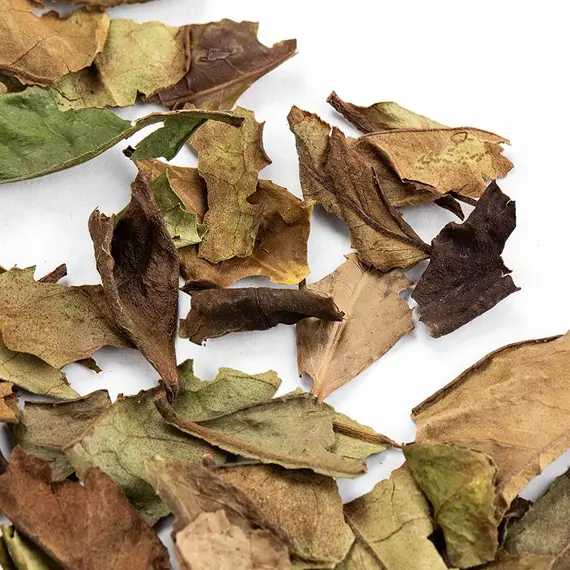 Чай белый Бай Му Дань (Белый пион) в чайном магазине BestTea, фото , изображение 5