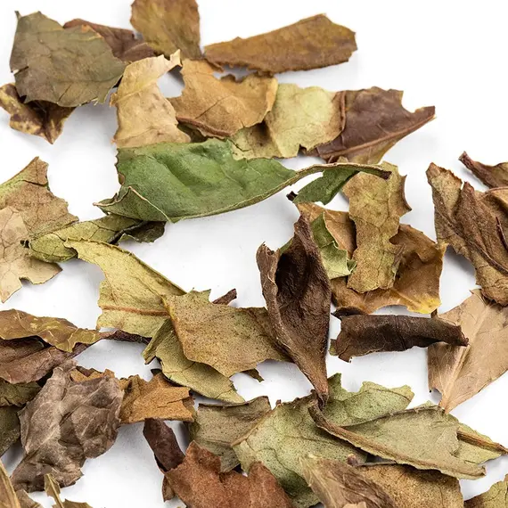 Чай белый Бай Му Дань (Белый пион) в чайном магазине BestTea, фото , изображение 6