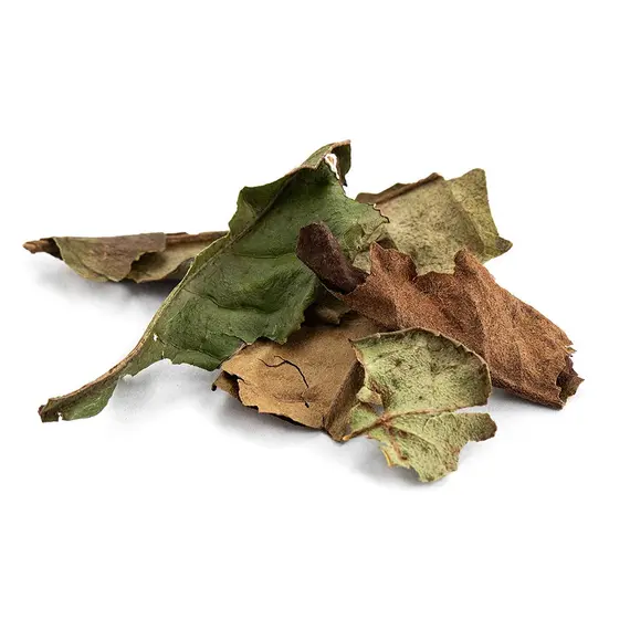 Чай белый Бай Му Дань (Белый пион) в чайном магазине BestTea, фото , изображение 8