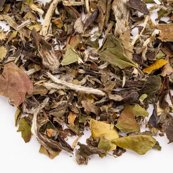 Чай белый Бай Му Дань  (Белый пион)  высшей категории оптом в BestTea, фото , изображение 2