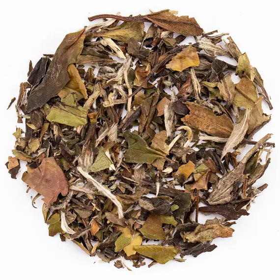 Чай белый Бай Му Дань  (Белый пион)  высшей категории оптом в BestTea, фото 