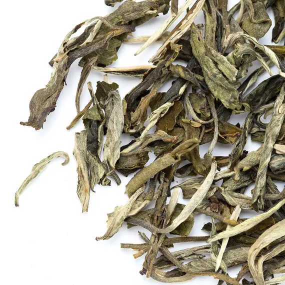 Чай зеленый Солнечные лучи оптом в BestTea, фото , изображение 3