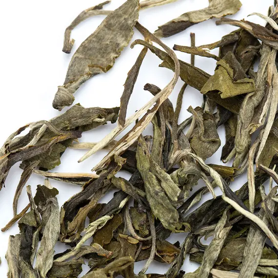 Чай зеленый Солнечные лучи оптом в BestTea, фото , изображение 6
