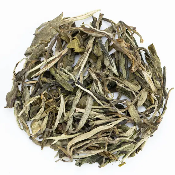 Чай зеленый Солнечные лучи оптом в BestTea, фото 