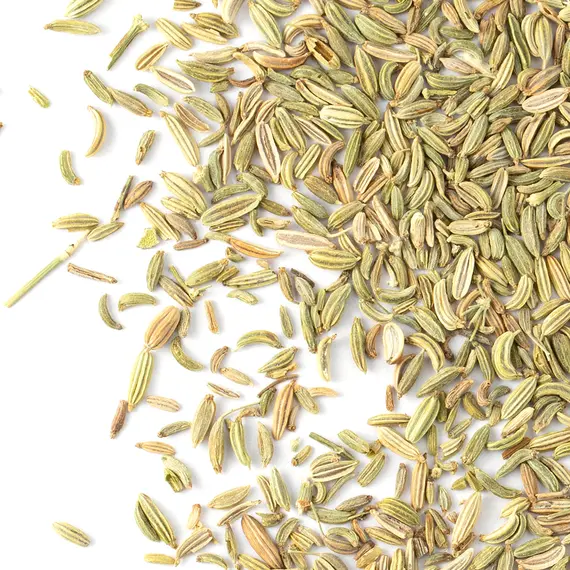 Фенхель сушеный, целый, Фасовка: 0.25 оптом в BestTea, фото , изображение 3