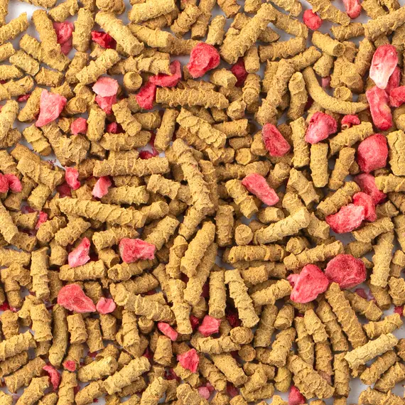 Гречишный чай Секрет красоты, Фасовка: 0.5 оптом в BestTea, фото , изображение 3