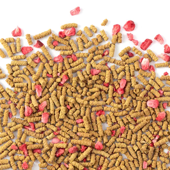 Гречишный чай Секрет красоты, Фасовка: 0.5 оптом в BestTea, фото , изображение 2