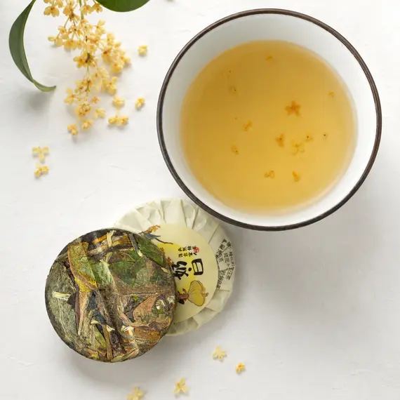 Чай белый Бай Му Дань с османтусом, точа прессованная оптом в BestTea, фото , изображение 5