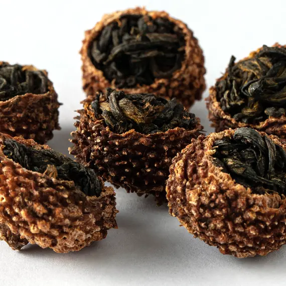 Красный чай в плодах горной розы Цили оптом в BestTea, фото , изображение 5