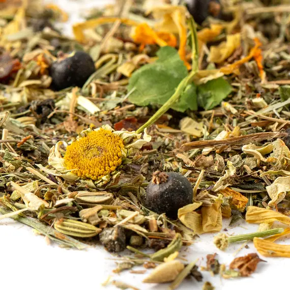 Травяной чай - Фиточай Здоровый дух, Фасовка: 0.25 оптом в BestTea, фото , изображение 5