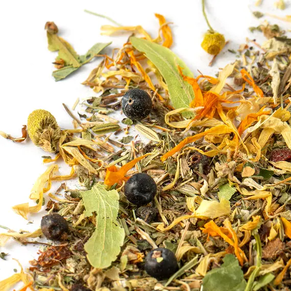 Травяной чай - Фиточай Здоровый дух, Фасовка: 0.25 оптом в BestTea, фото , изображение 4