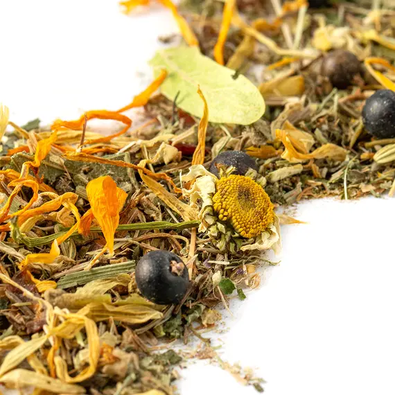 Травяной чай - Фиточай Здоровый дух, Фасовка: 0.25 оптом в BestTea, фото , изображение 2