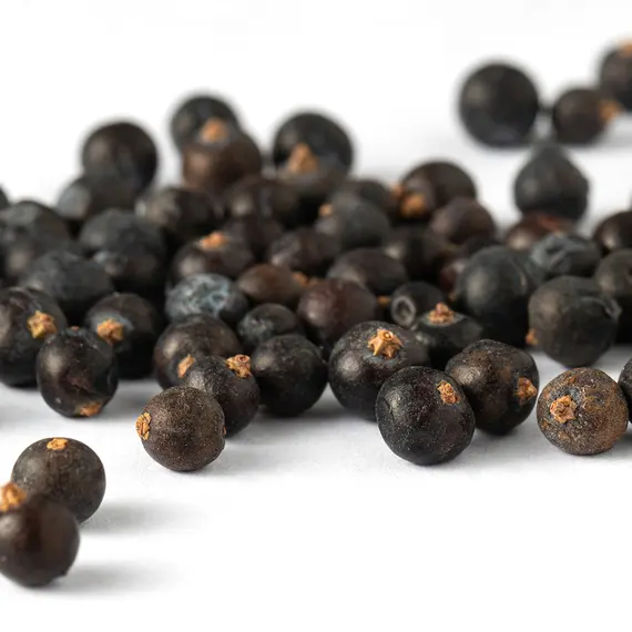 Можжевельник, плоды оптом в BestTea, фото , изображение 4