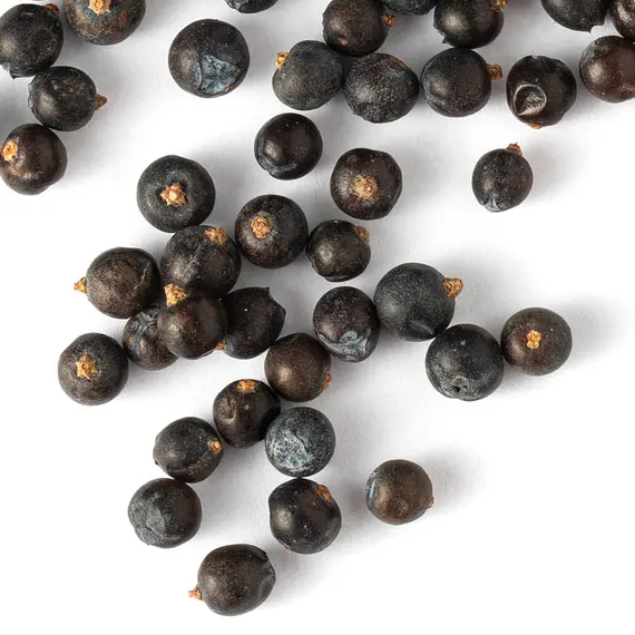 Можжевельник, плоды оптом в BestTea, фото , изображение 5