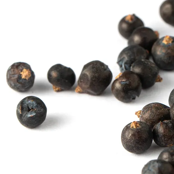 Можжевельник, плоды оптом в BestTea, фото , изображение 7