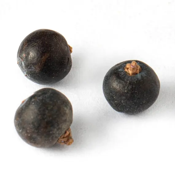 Можжевельник, плоды оптом в BestTea, фото , изображение 8