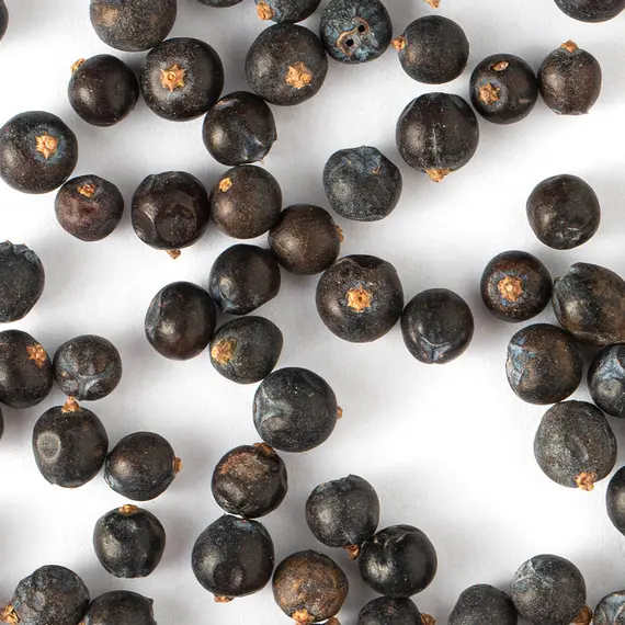 Можжевельник, плоды оптом в BestTea, фото , изображение 3