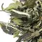 Чай белый Бай Му Дань  (Белый пион)  высшей категории, 200 г оптом в BestTea, фото , изображение 9