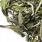 Чай белый Бай Му Дань  (Белый пион)  высшей категории, 200 г оптом в BestTea, фото , изображение 8