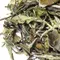 Чай белый Бай Му Дань  (Белый пион)  высшей категории, 200 г оптом в BestTea, фото , изображение 2